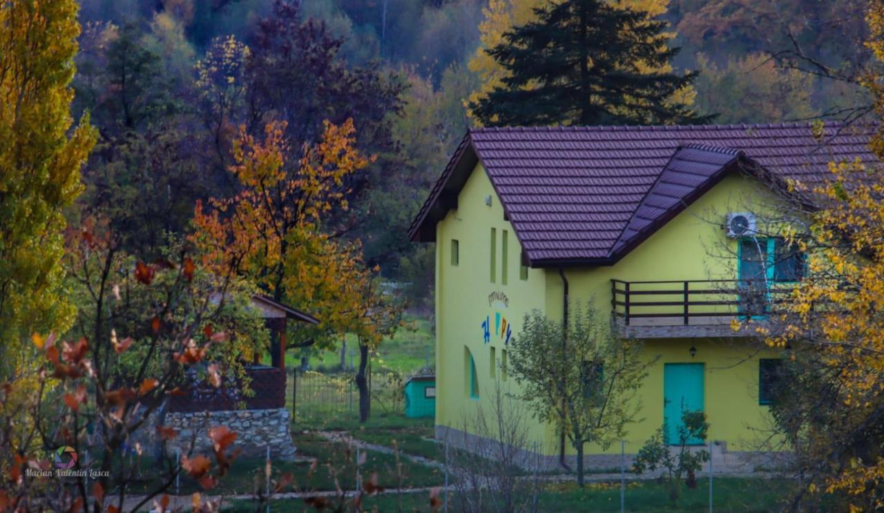 Pensiunea Happy Schitu Topolnitei Exterior photo